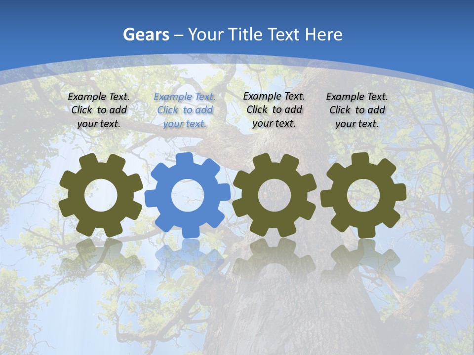 Old Tree PowerPoint Template