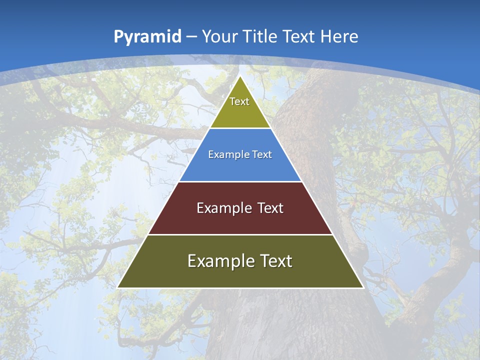 Old Tree PowerPoint Template