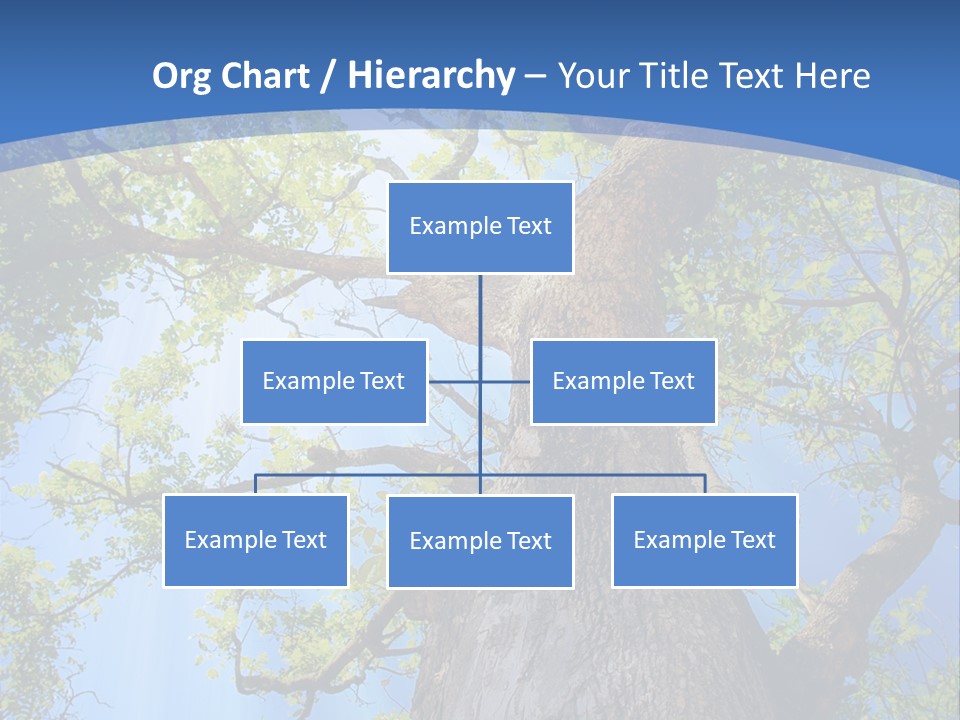 Old Tree PowerPoint Template