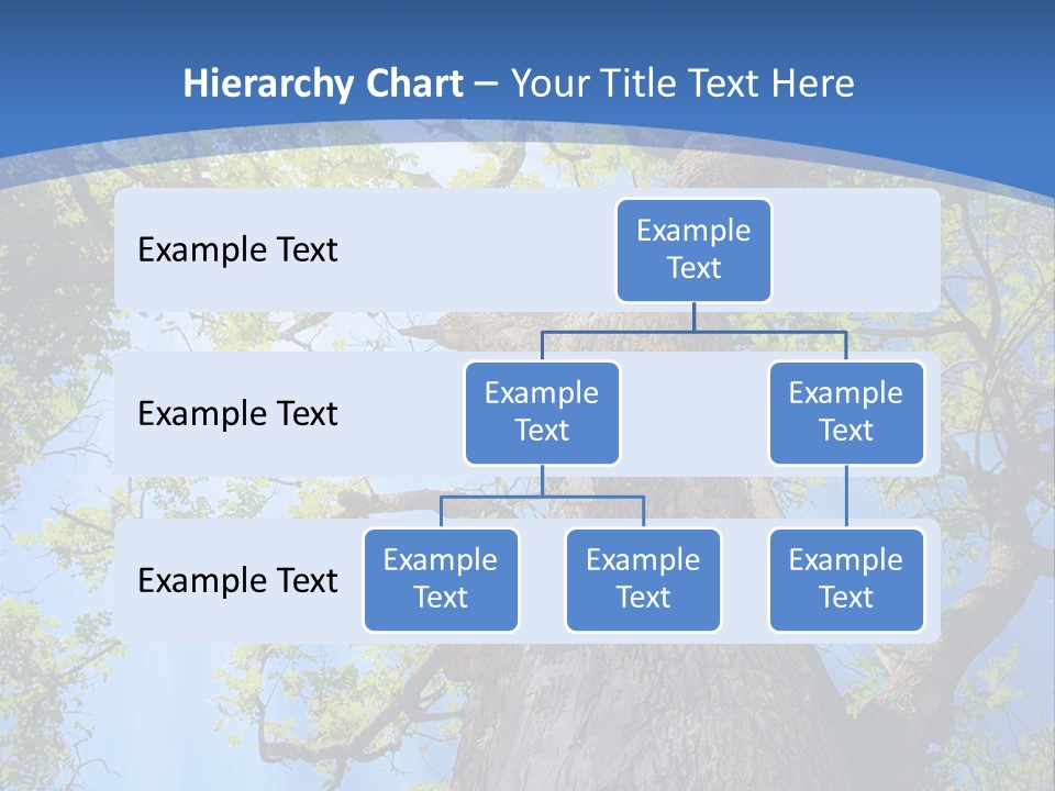 Old Tree PowerPoint Template