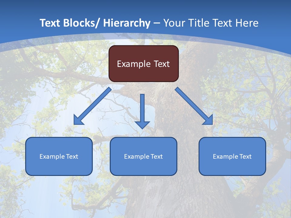 Old Tree PowerPoint Template