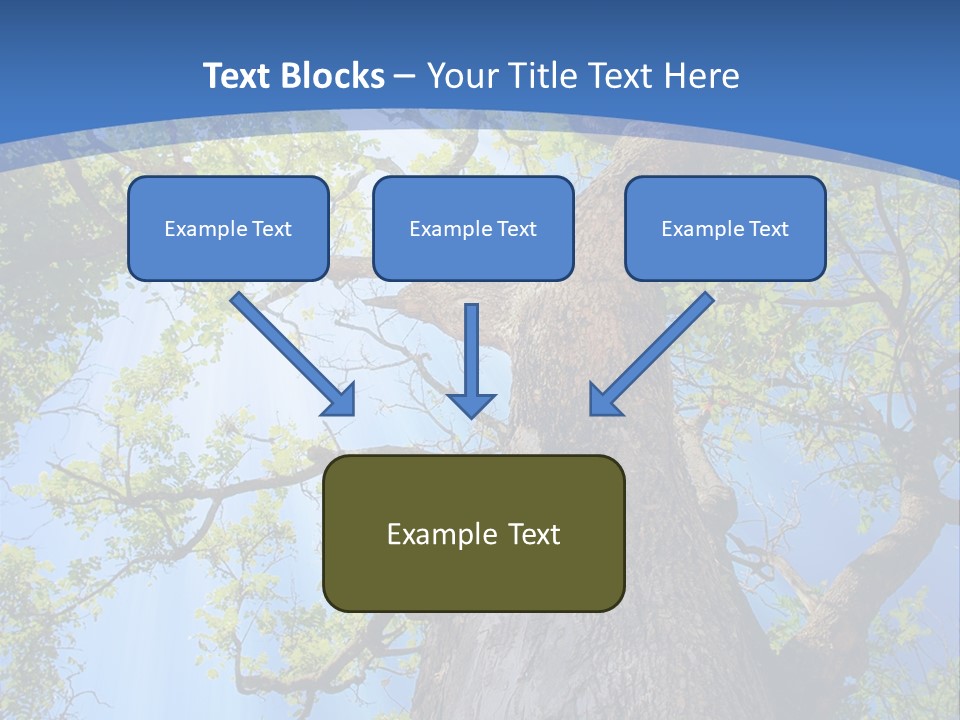 Old Tree PowerPoint Template
