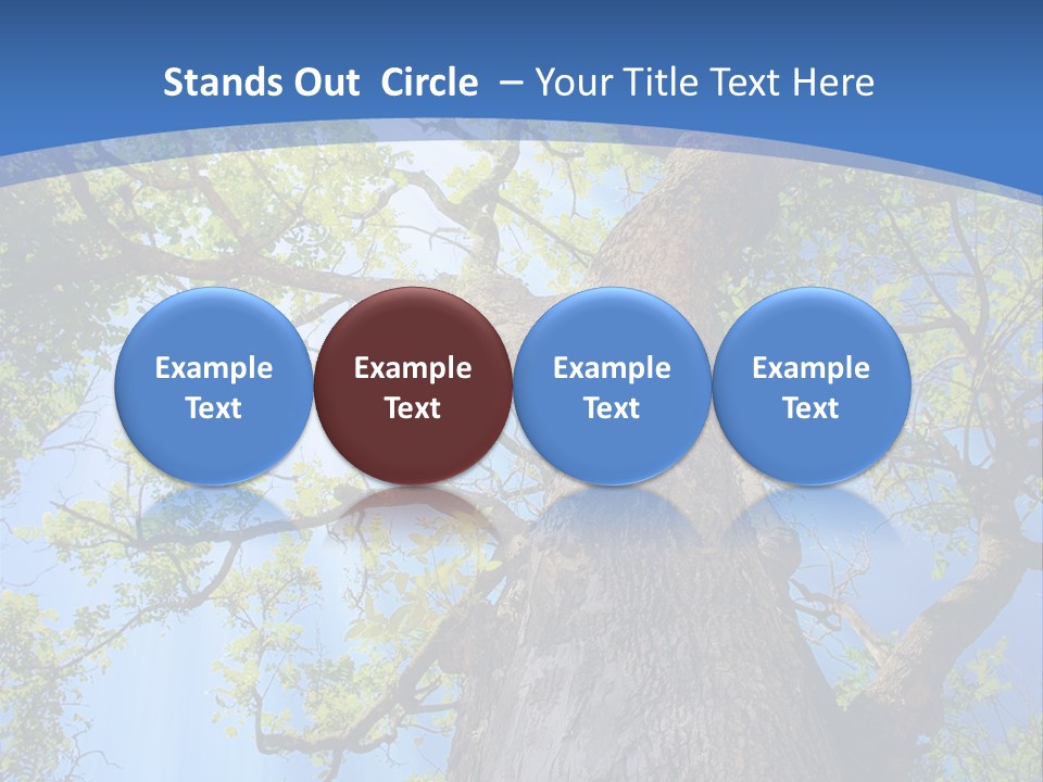 Old Tree PowerPoint Template