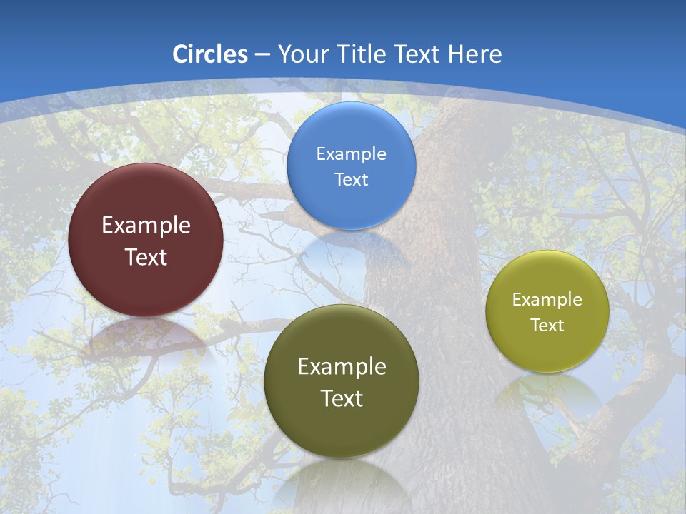 Old Tree PowerPoint Template