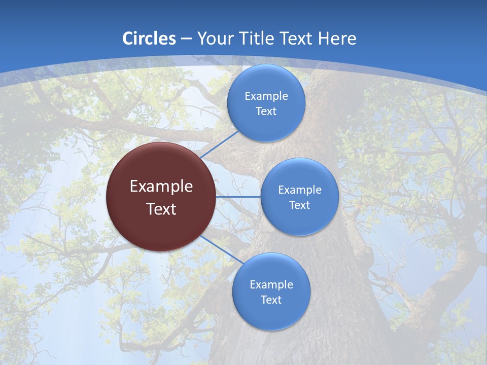 Old Tree PowerPoint Template