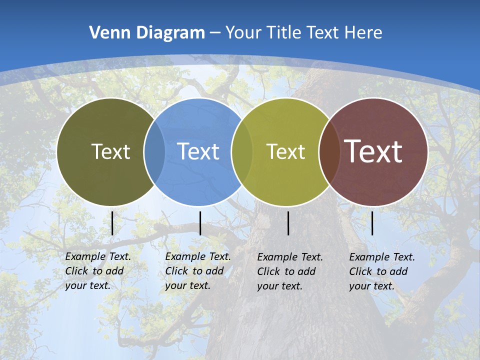 Old Tree PowerPoint Template