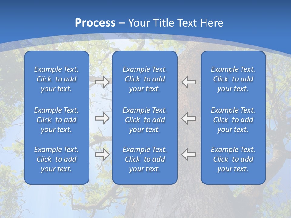 Old Tree PowerPoint Template