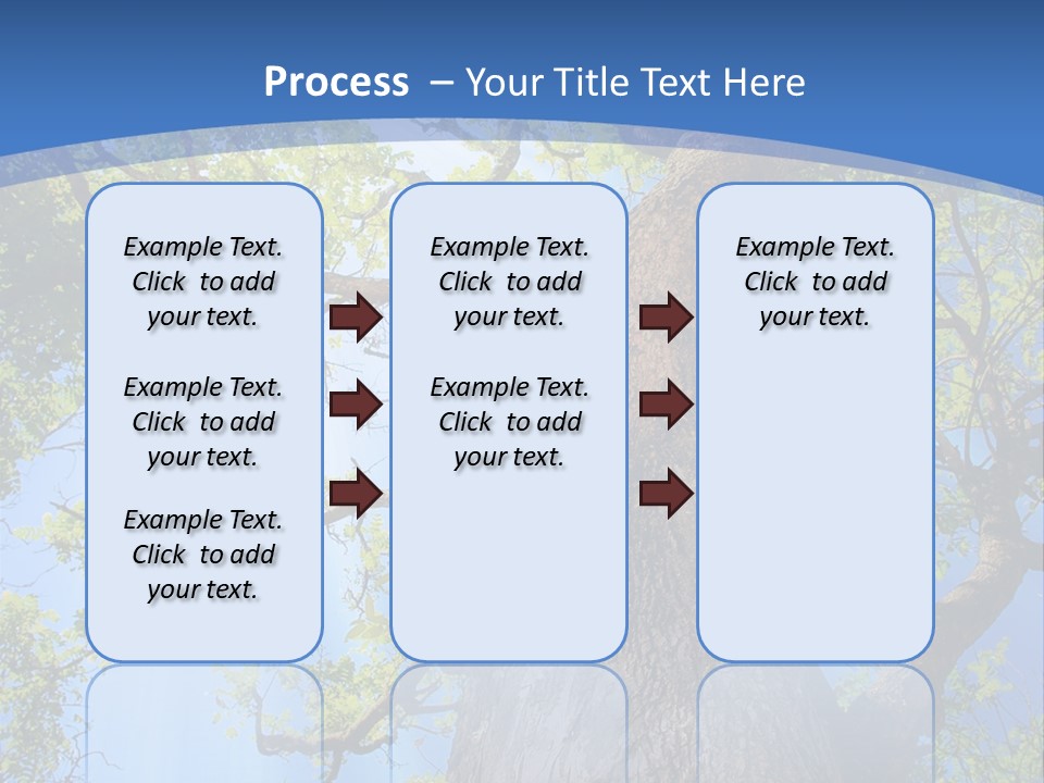 Old Tree PowerPoint Template