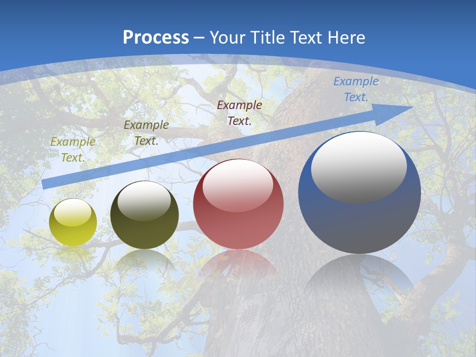 Old Tree PowerPoint Template