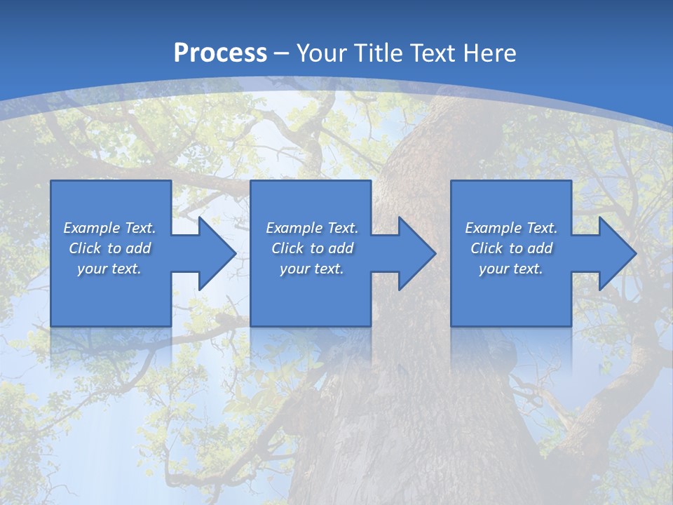 Old Tree PowerPoint Template