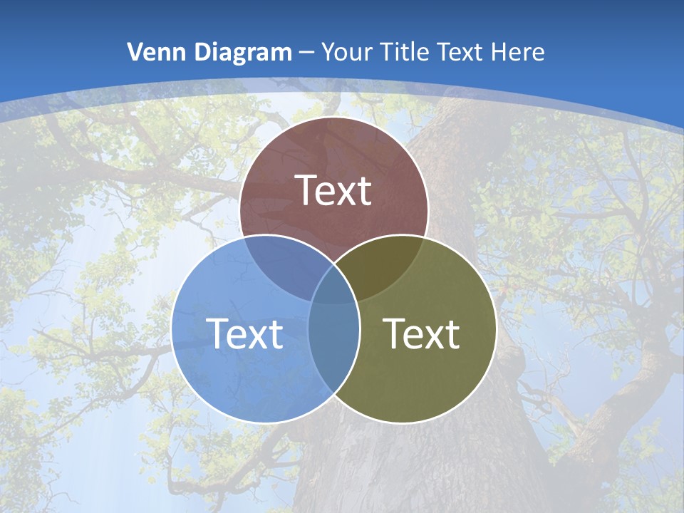 Old Tree PowerPoint Template