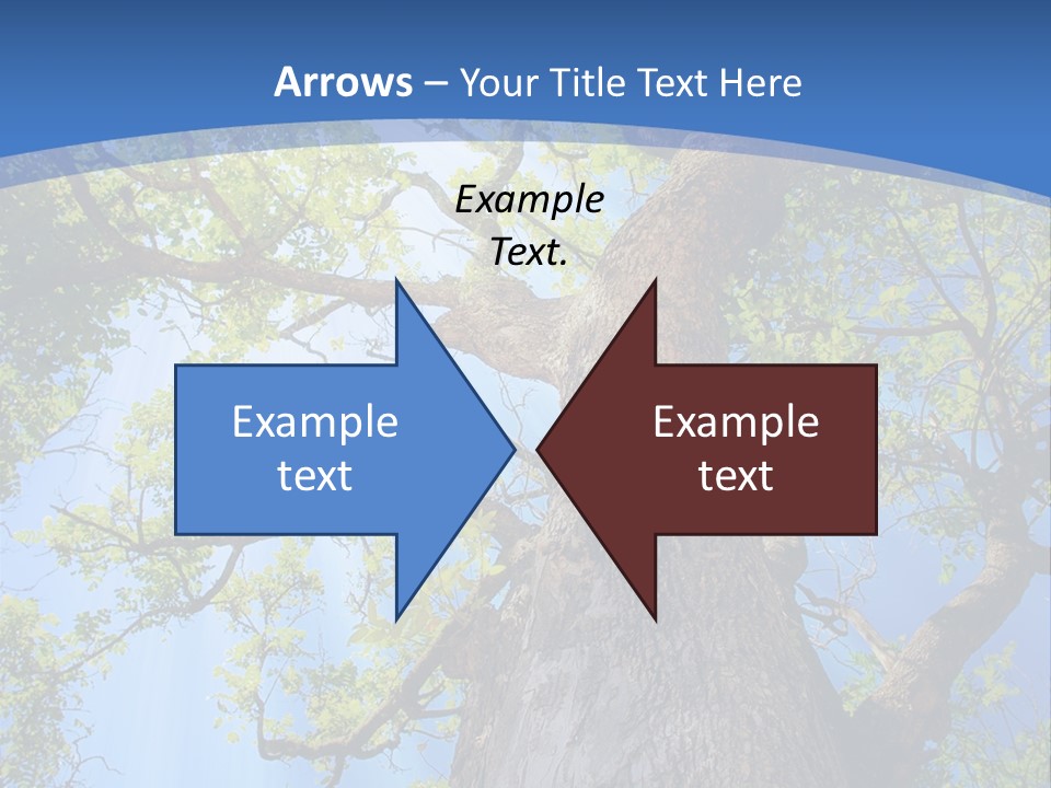 Old Tree PowerPoint Template