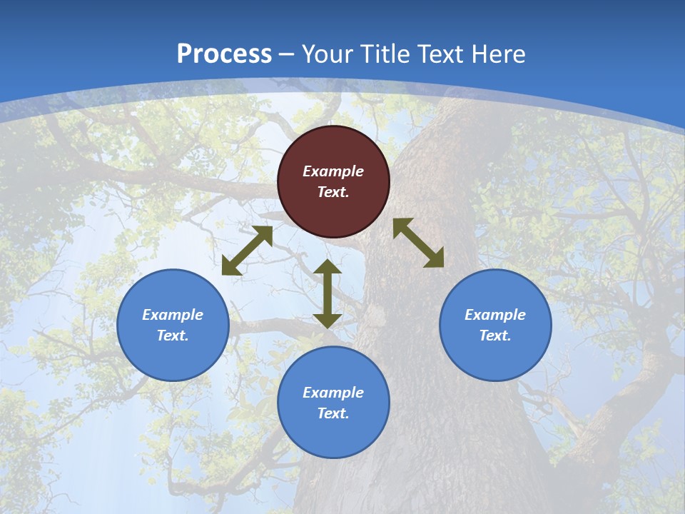 Old Tree PowerPoint Template