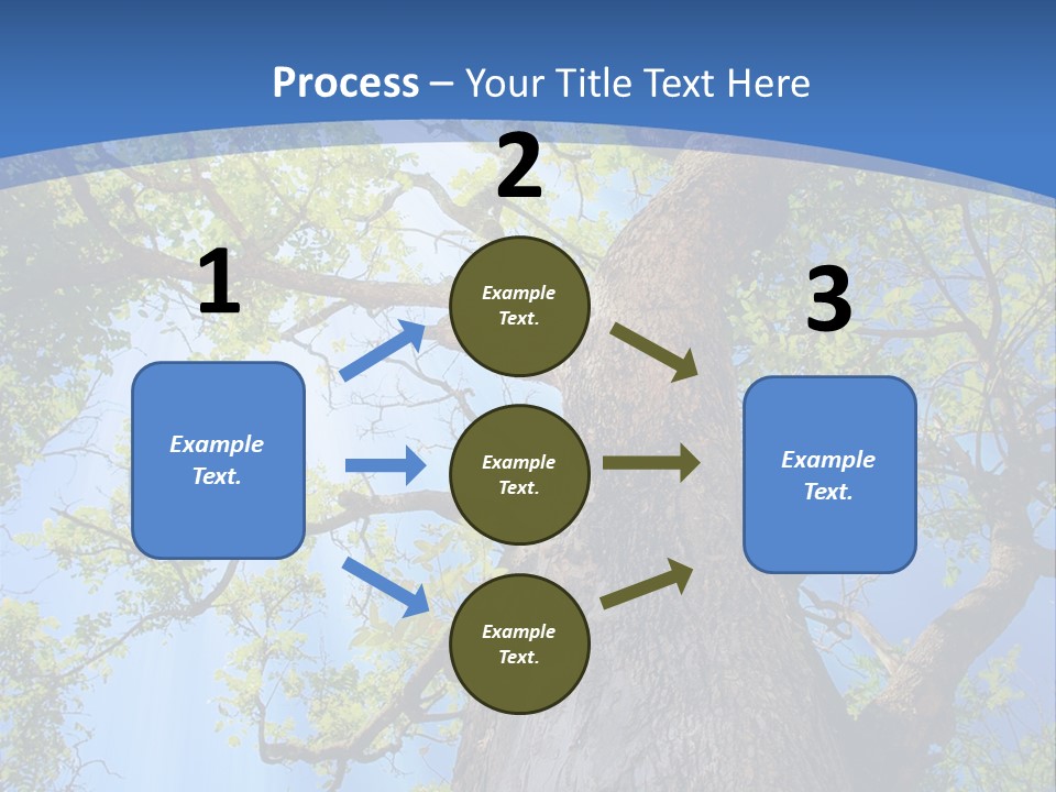 Old Tree PowerPoint Template