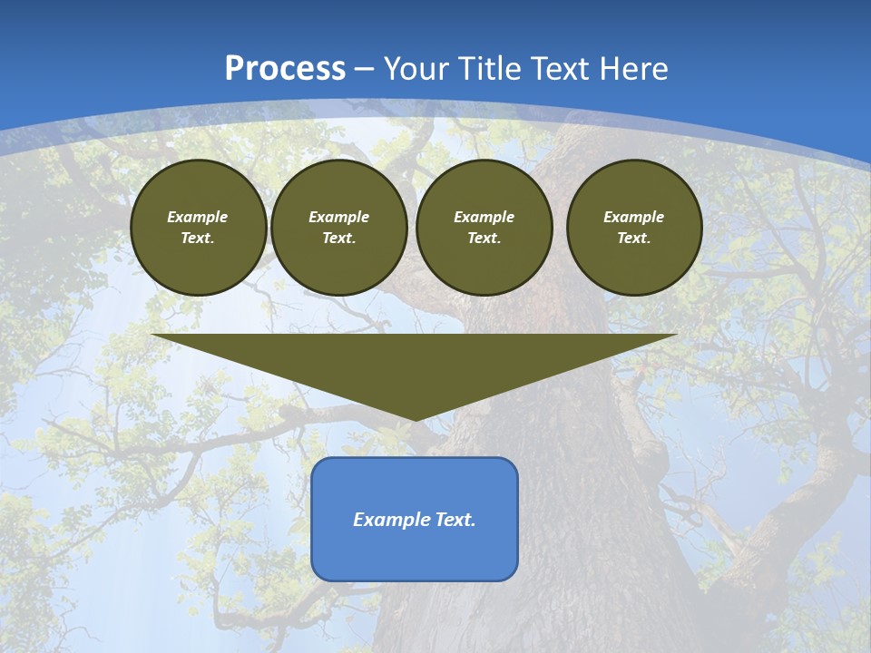 Old Tree PowerPoint Template