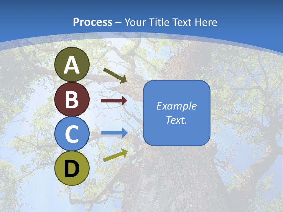 Old Tree PowerPoint Template