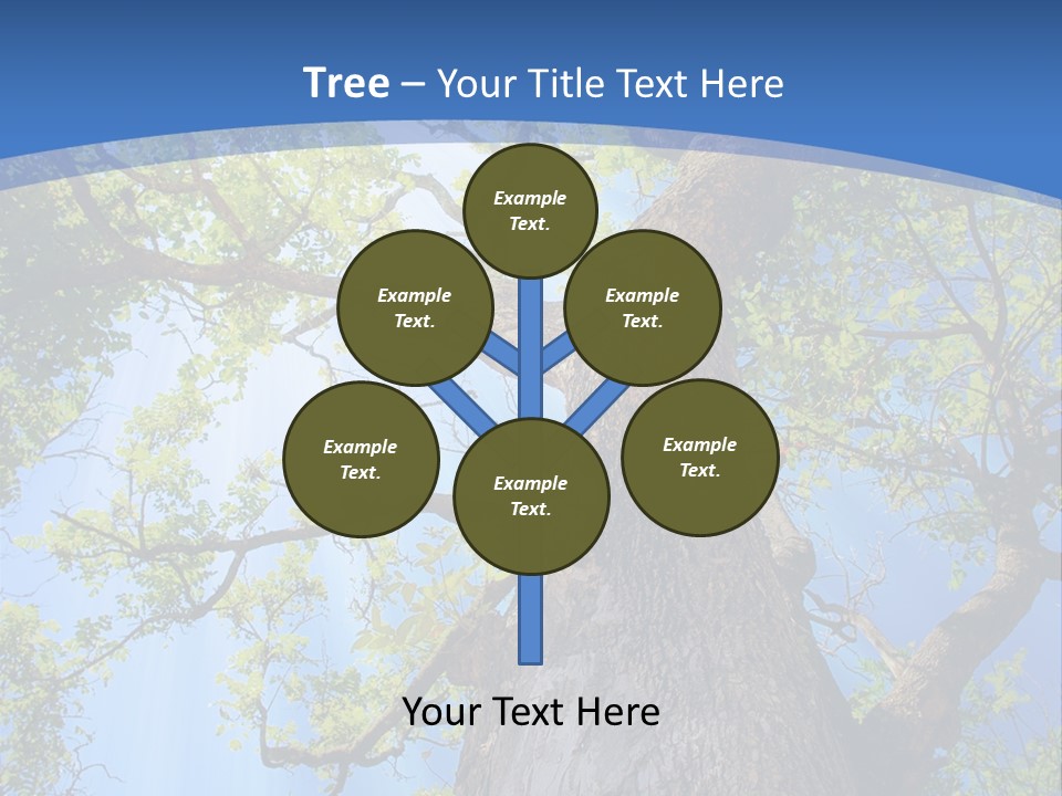 Old Tree PowerPoint Template