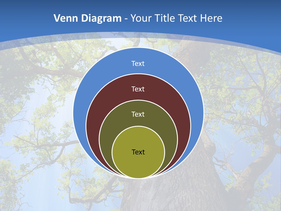 Old Tree PowerPoint Template