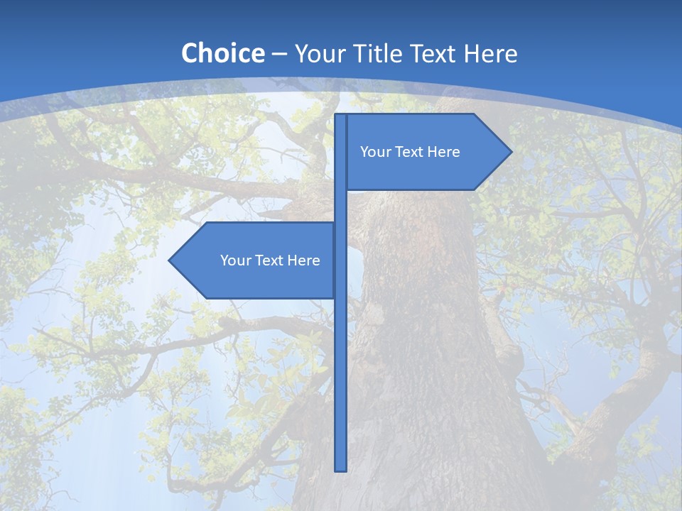 Old Tree PowerPoint Template