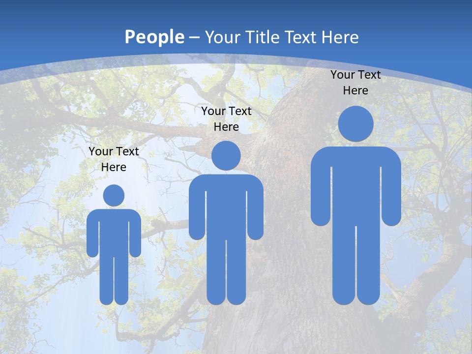 Old Tree PowerPoint Template