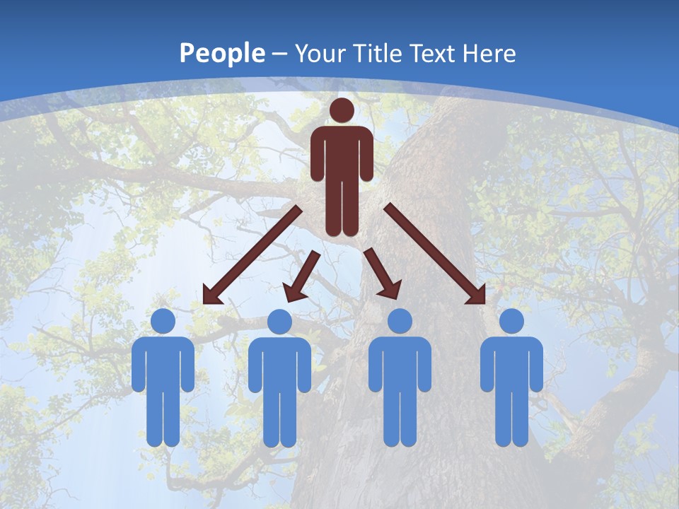 Old Tree PowerPoint Template