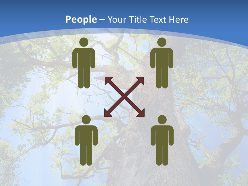 Old Tree PowerPoint Template