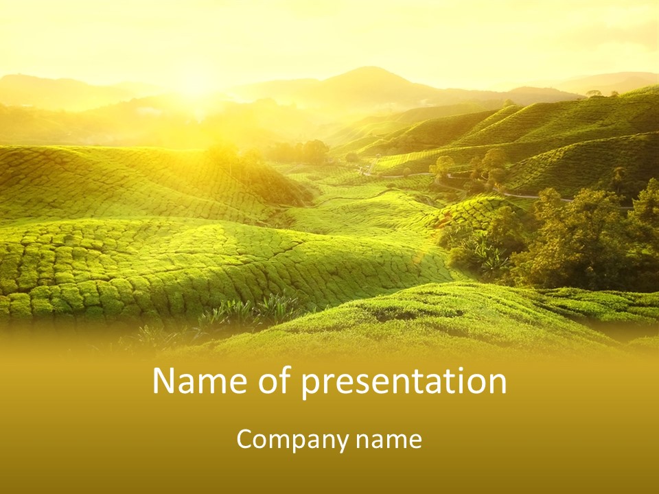 Sunrise Over The Fields PowerPoint Template
