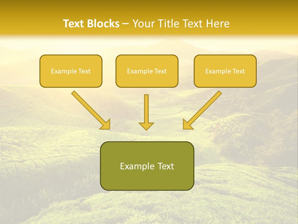 Sunrise Over The Fields PowerPoint Template
