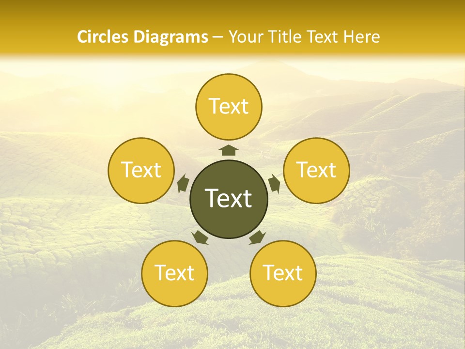 Sunrise Over The Fields PowerPoint Template