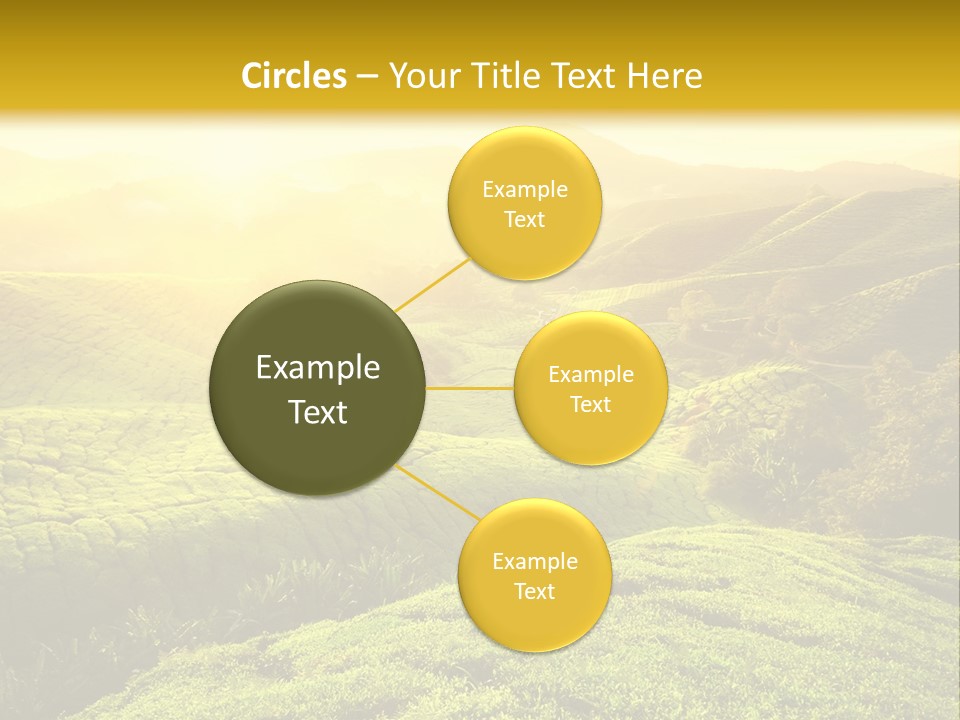 Sunrise Over The Fields PowerPoint Template