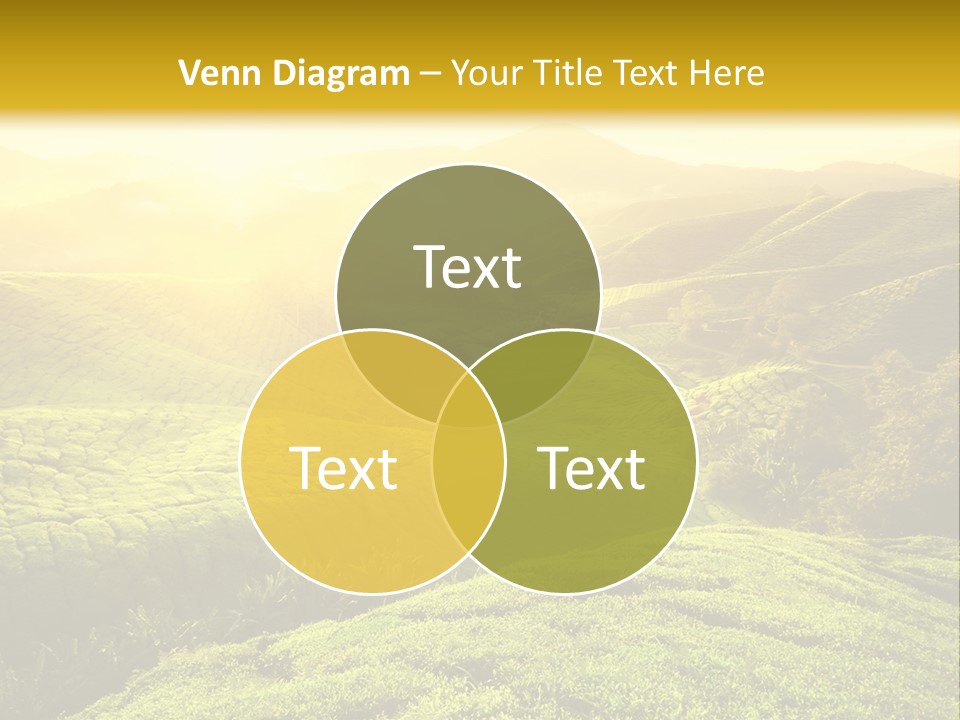 Sunrise Over The Fields PowerPoint Template