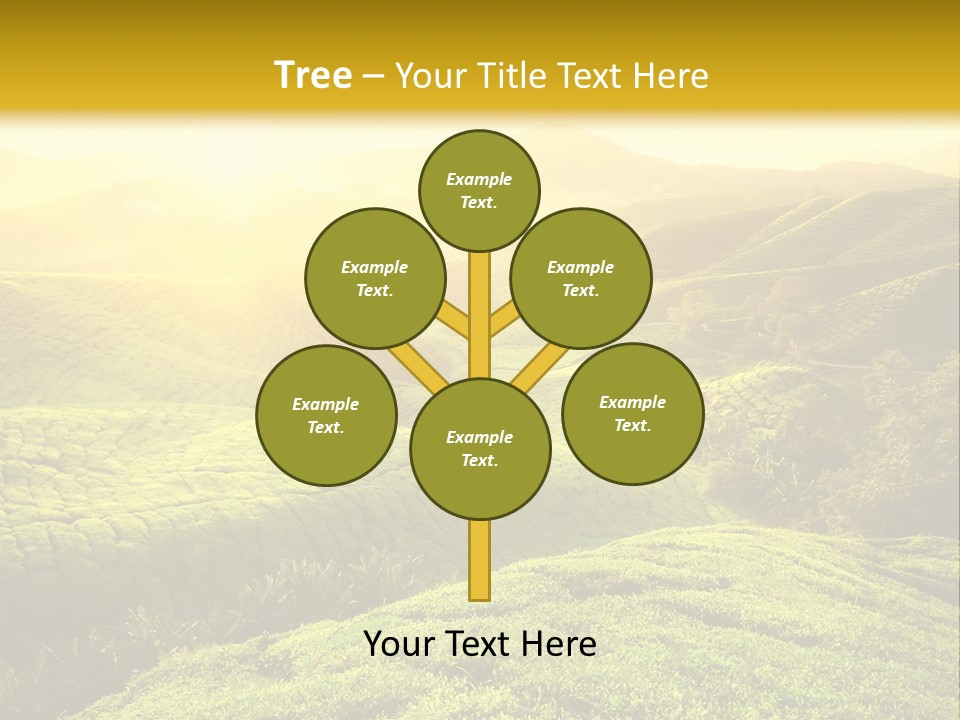 Sunrise Over The Fields PowerPoint Template