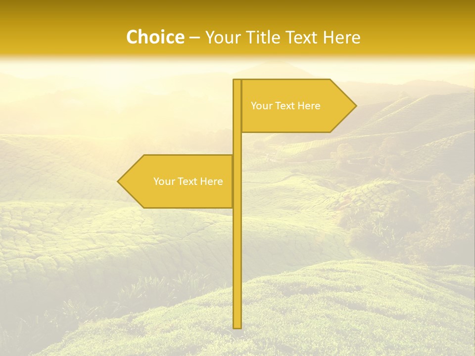 Sunrise Over The Fields PowerPoint Template