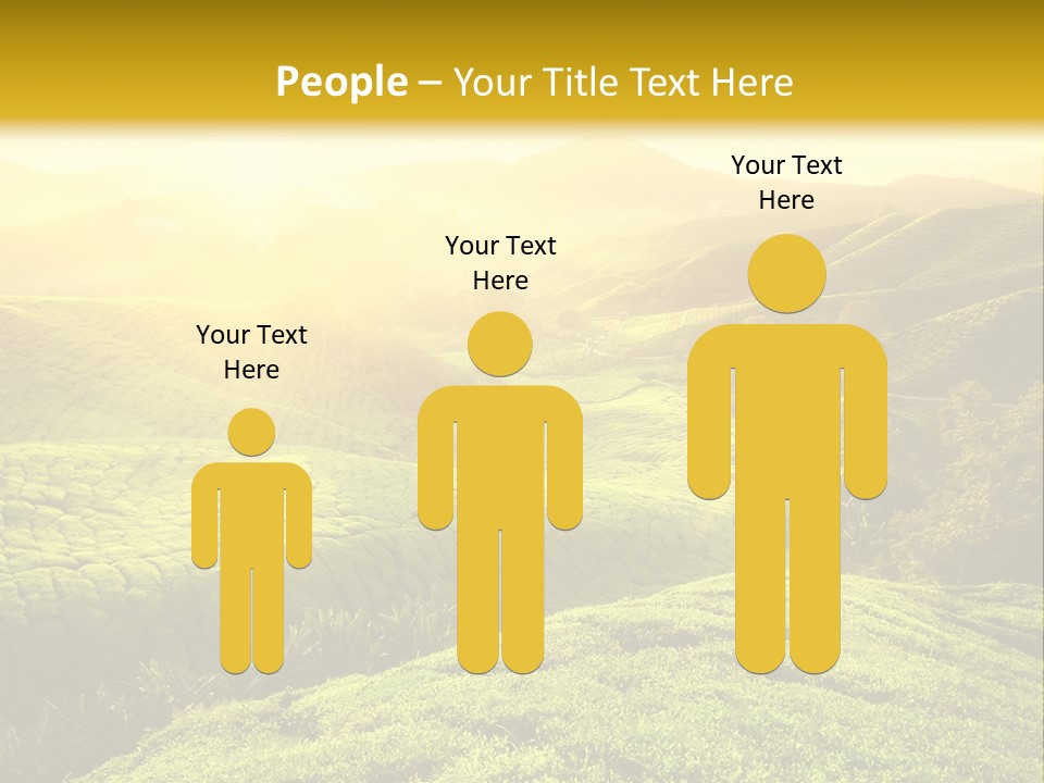Sunrise Over The Fields PowerPoint Template