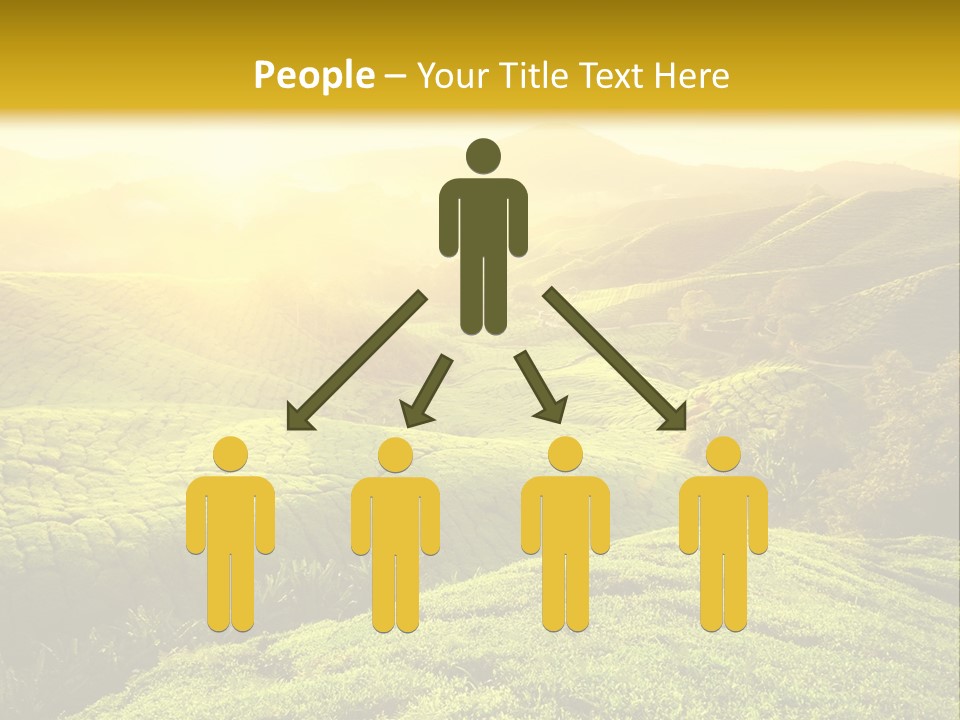 Sunrise Over The Fields PowerPoint Template