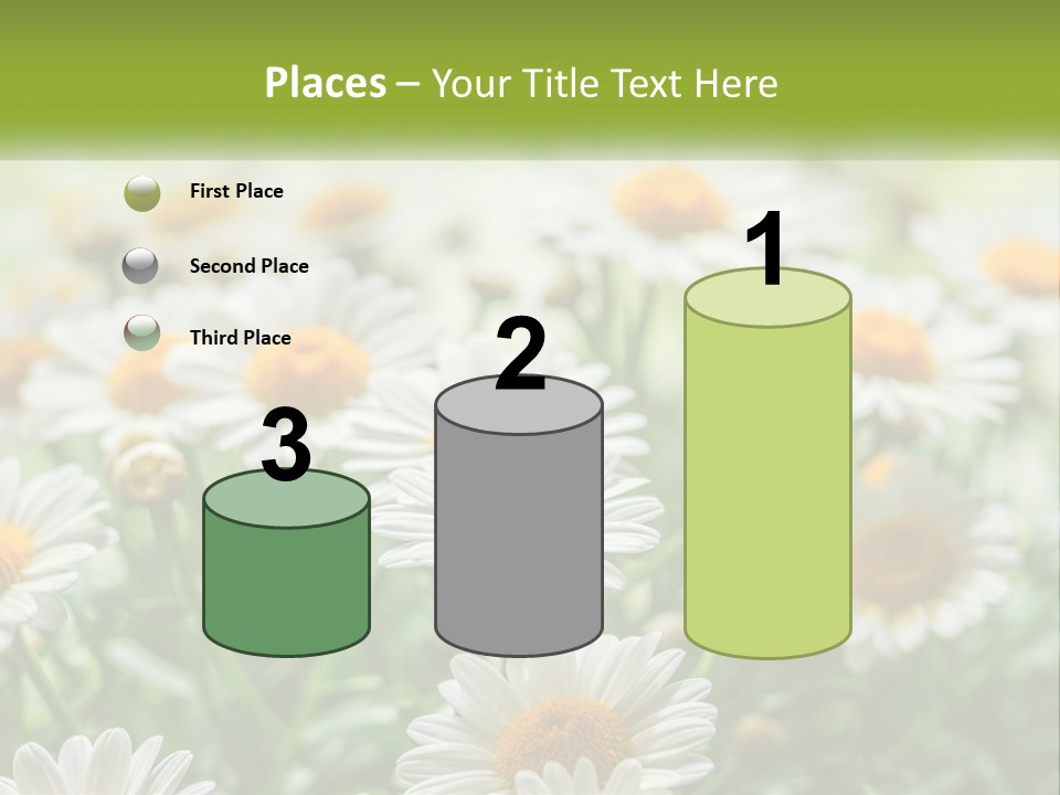 Camomile Field PowerPoint Template