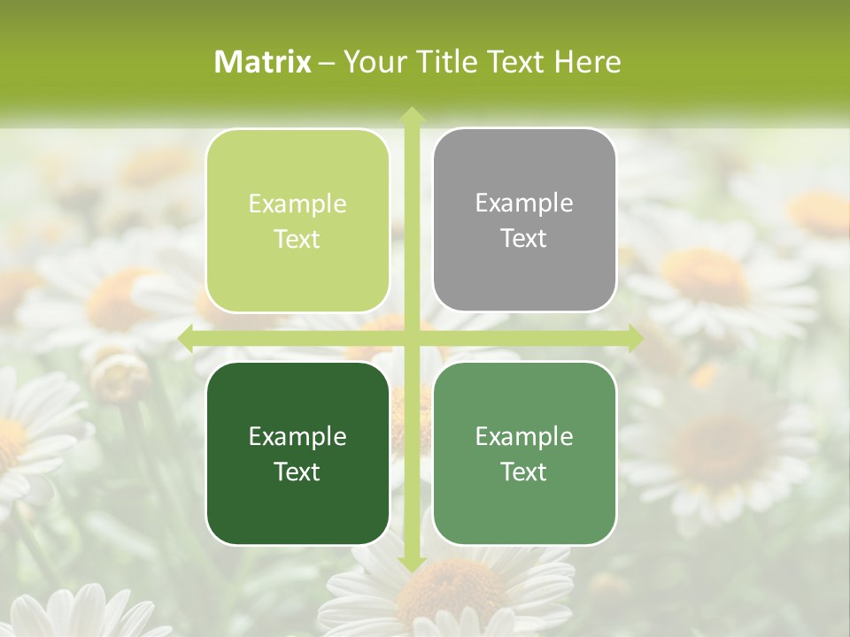 Camomile Field PowerPoint Template