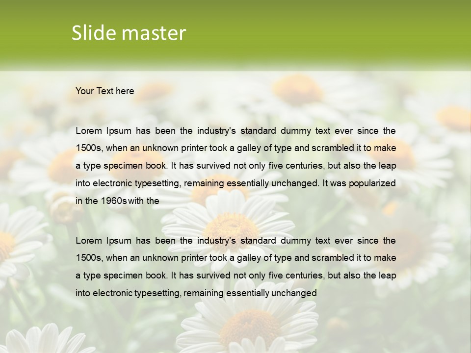 Camomile Field PowerPoint Template