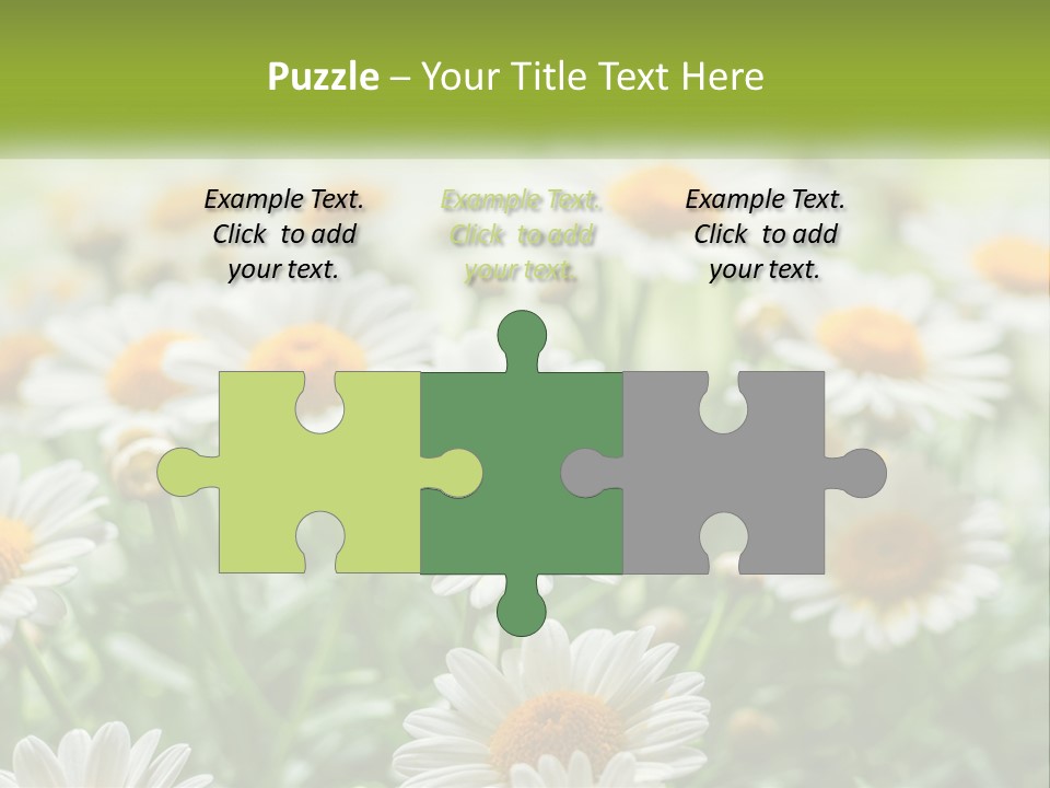 Camomile Field PowerPoint Template