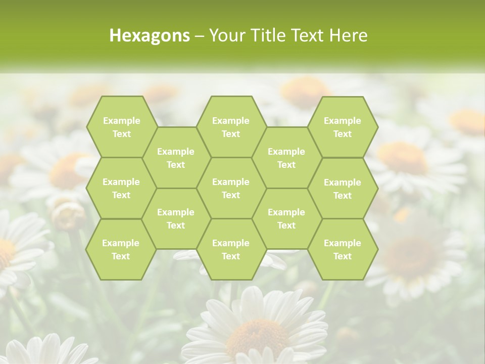 Camomile Field PowerPoint Template