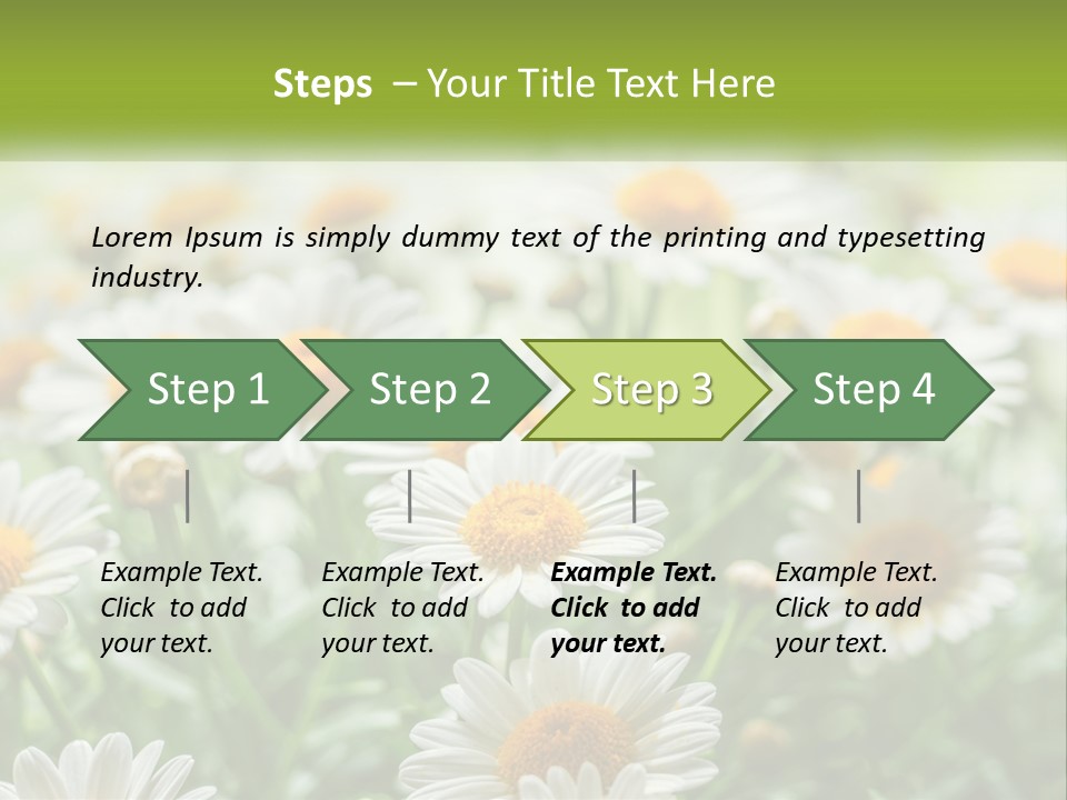 Camomile Field PowerPoint Template