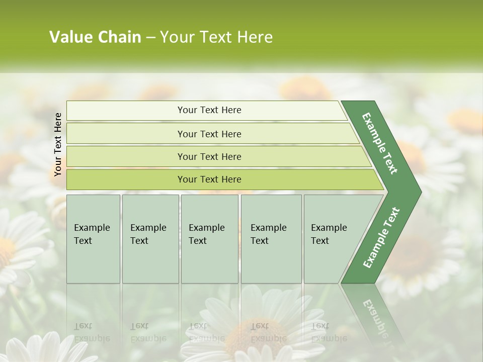 Camomile Field PowerPoint Template