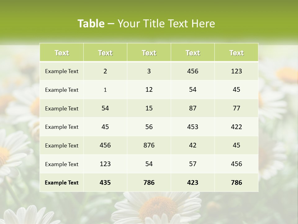 Camomile Field PowerPoint Template