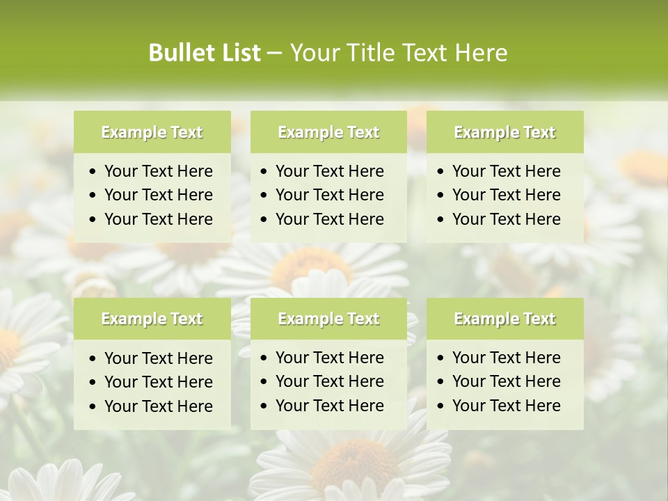 Camomile Field PowerPoint Template