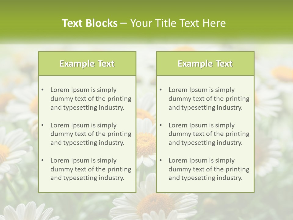 Camomile Field PowerPoint Template