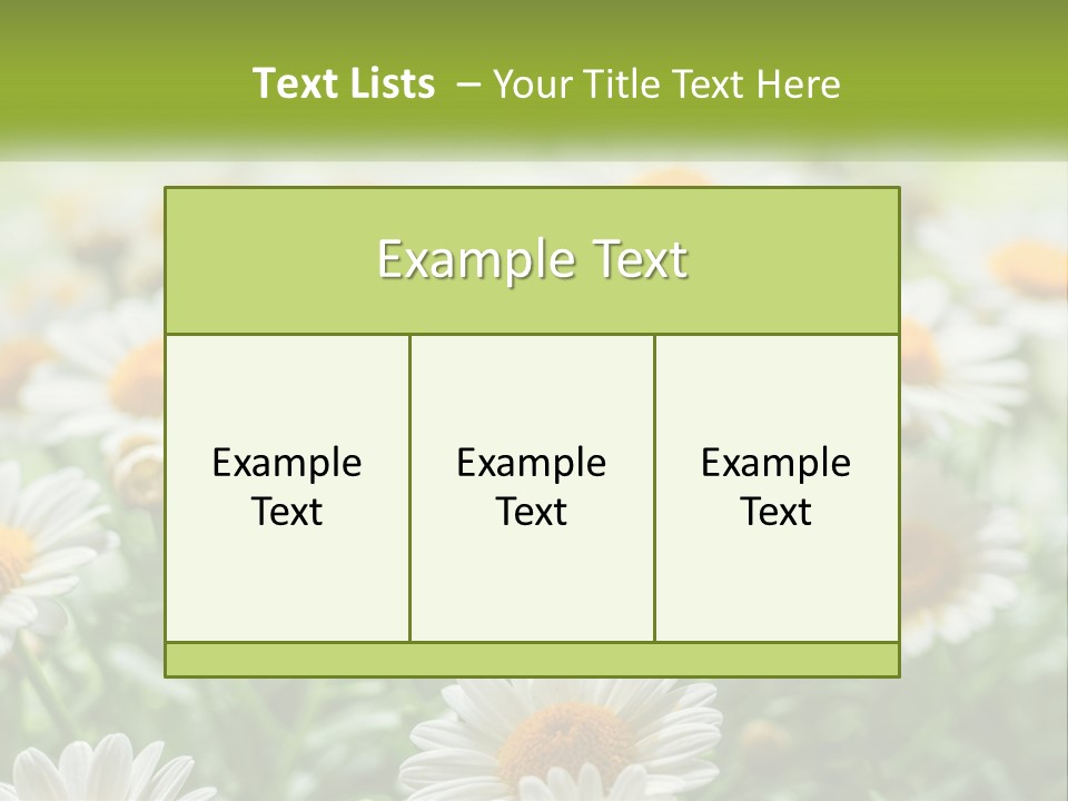 Camomile Field PowerPoint Template