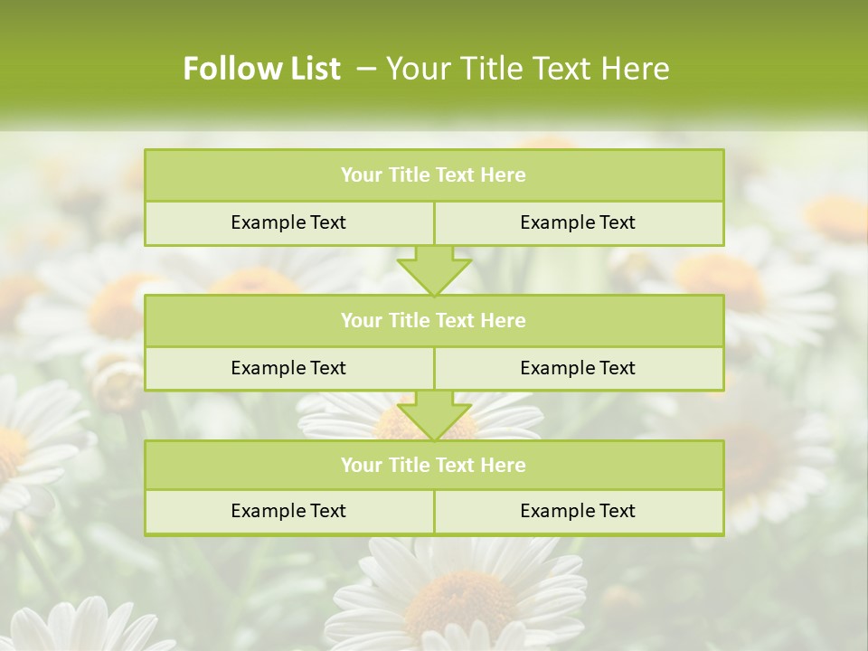 Camomile Field PowerPoint Template