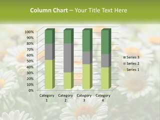 Camomile Field PowerPoint Template