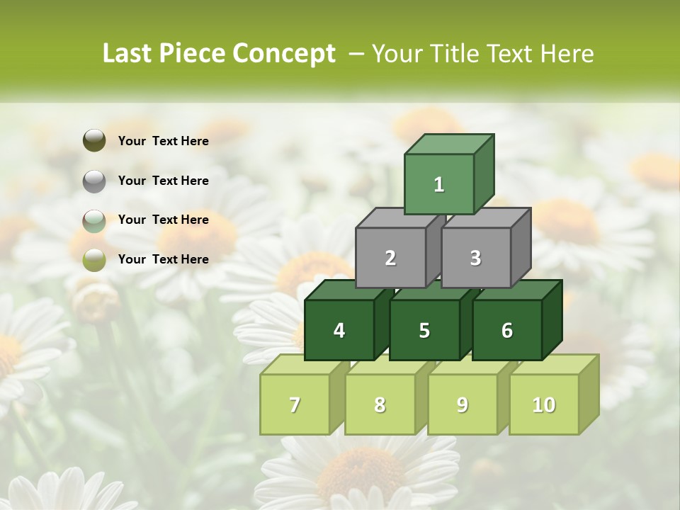 Camomile Field PowerPoint Template
