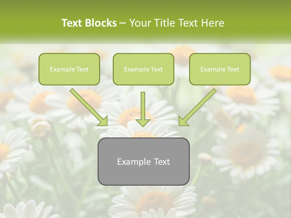 Camomile Field PowerPoint Template